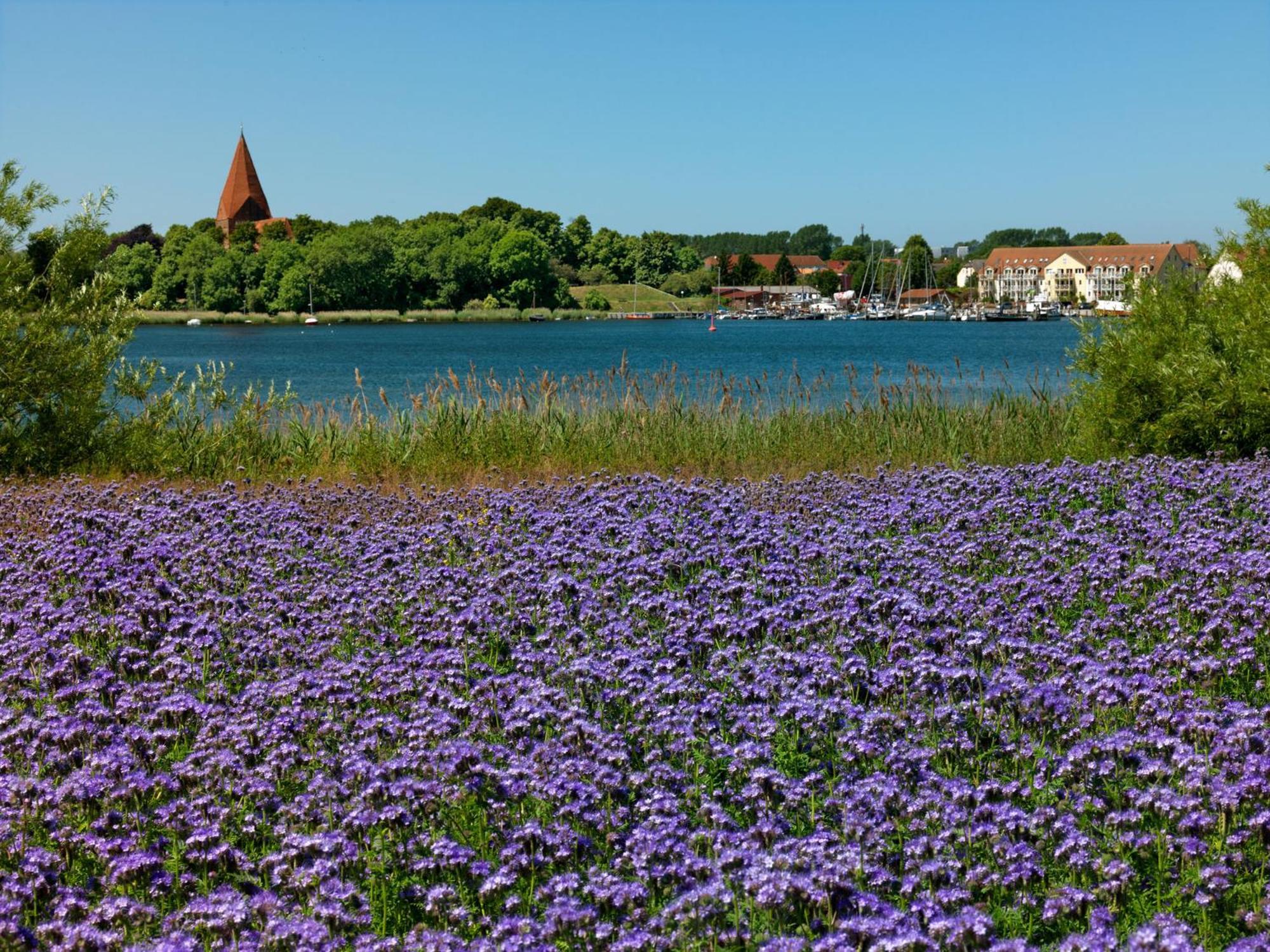 Apartamento Residenz Am Yachthafen Windspiel Kirchdorf  Exterior foto